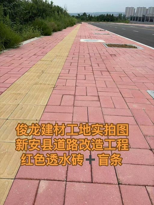 新安縣道路改造工程 （紅色透水磚+盲條）